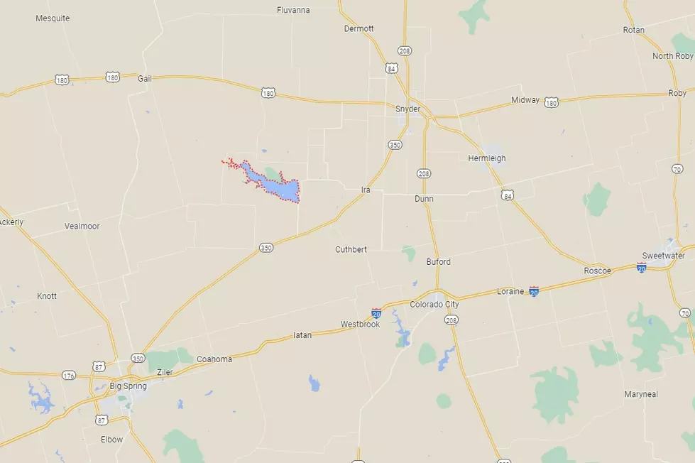Google Maps