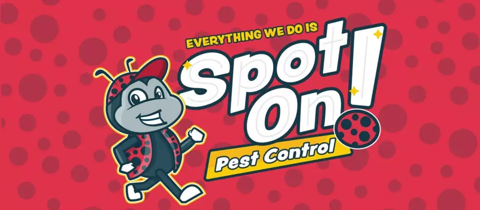 Spot On Pest Control Pest Control