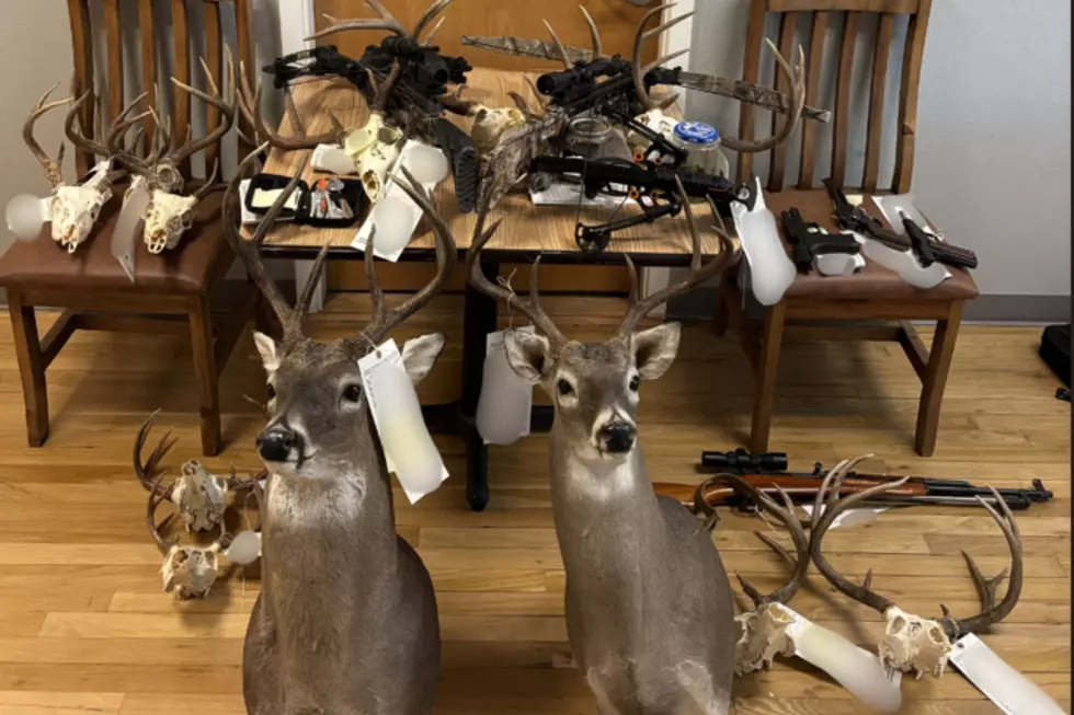 Texas Man Faces 74 Charges For Illegal Deer Hunting