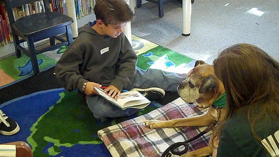Kids Who Read to Dogs Maintain Reading Skills