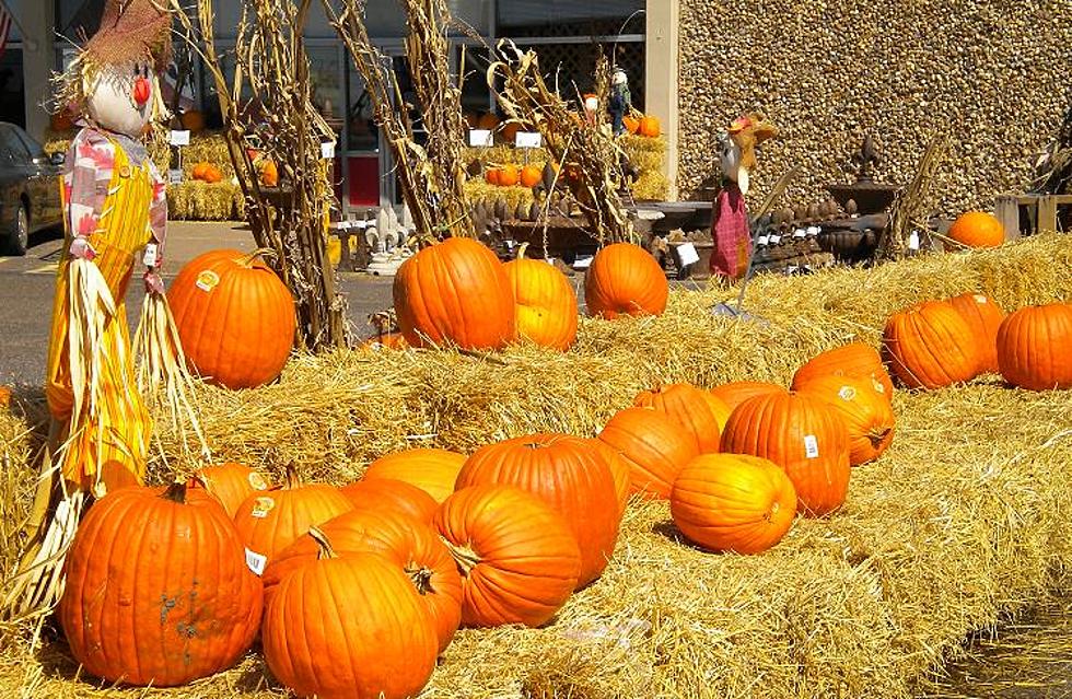 Woman Loses Weight From Eating Only Pumpkin?