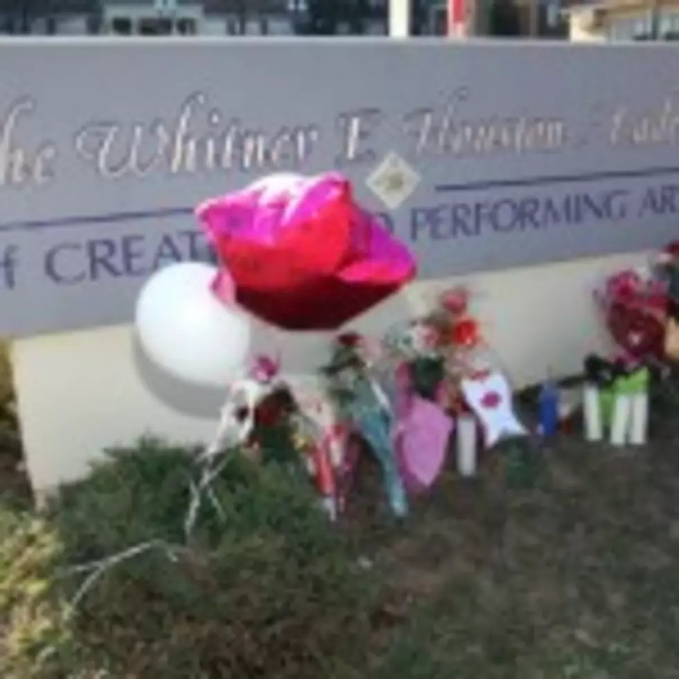 Country Stars Respond To Whitney Houston Death [VIDEO]