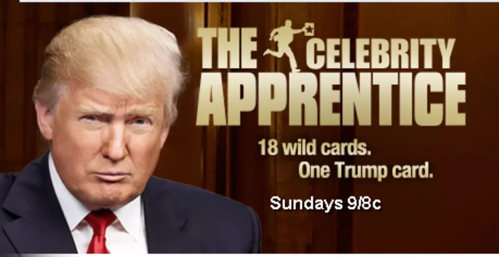 Celebrity Apprentice&#8217;s Big Bully &#8211; Would You Hire Lisa Lampenelli? [VIDEO] [POLL]