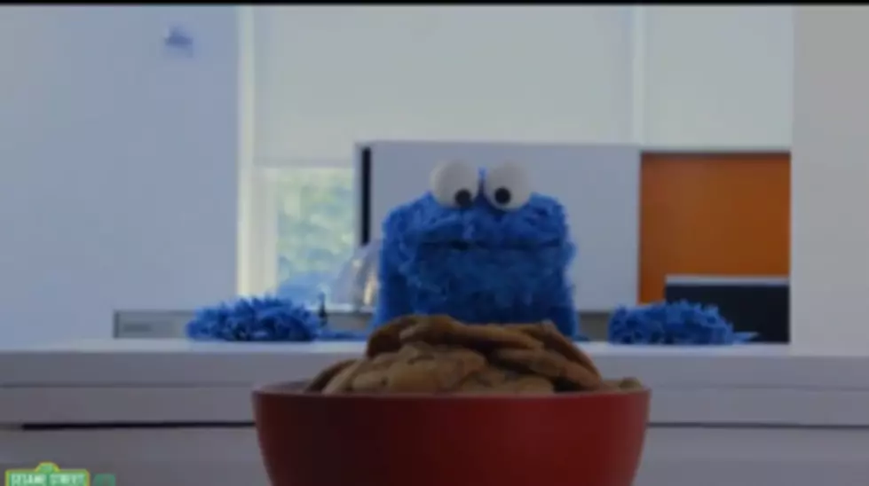 Sesame Street&#8217;s Cookie Monster Spoofs Pop Artist Carly Rae Jepsen [VIDEO]