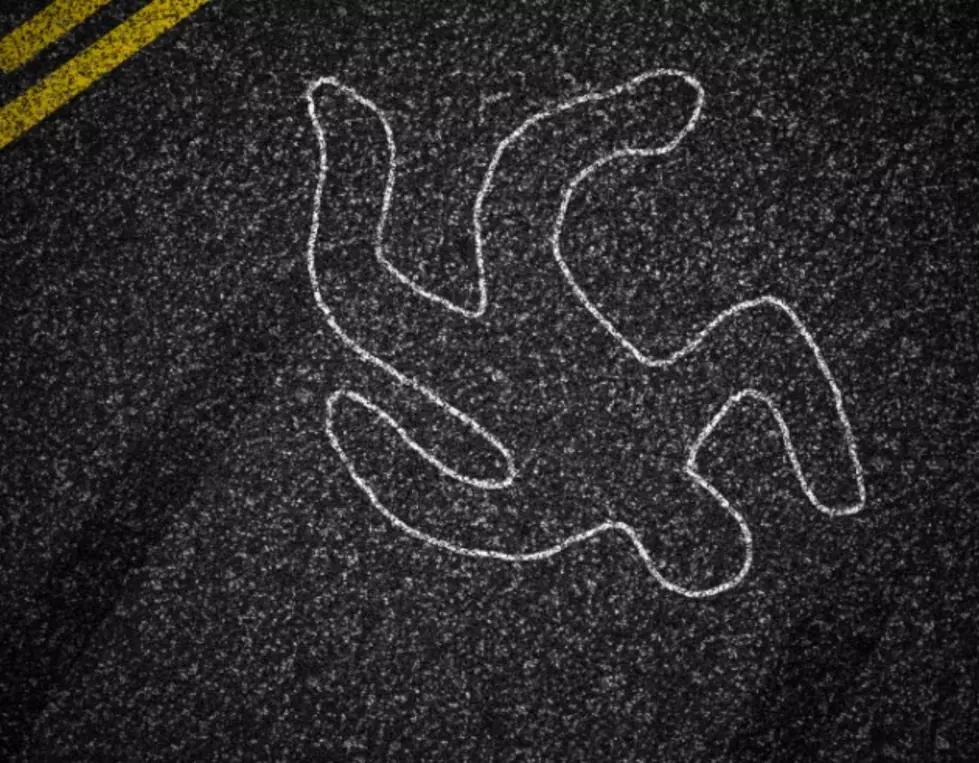 Pedestrian Struck by Vehicle Dies