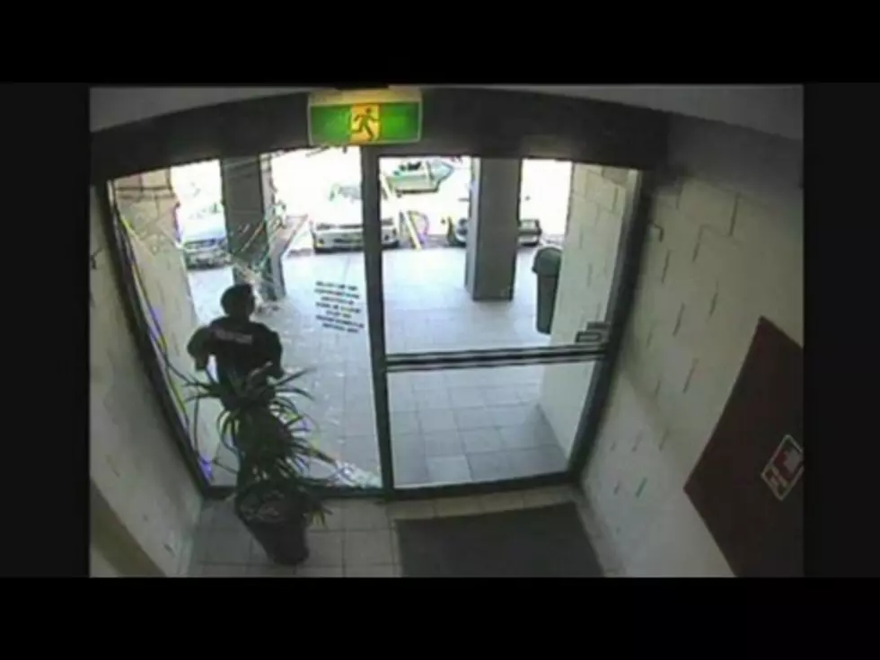 Crook Runs Into Glass Door And Knocks Himself Out! [VIDEO]