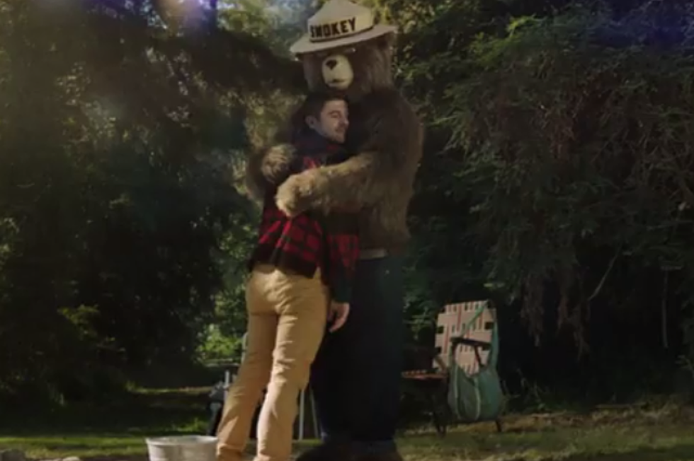 Do You Need A Bear Hug? [VIDEO]