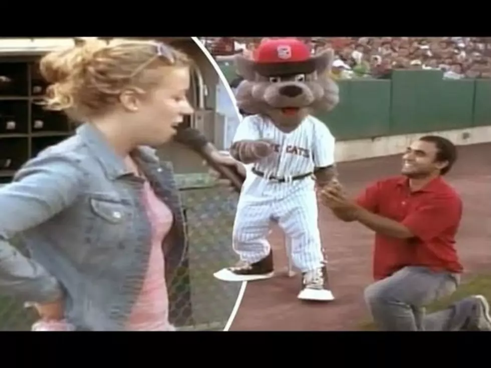 Ball Park Proposal Gone Wrong [VIDEO]