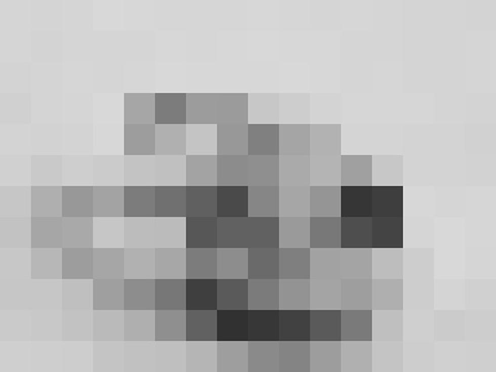 What’s In This Picture – Patterson’s Pixels [PHOTOS]