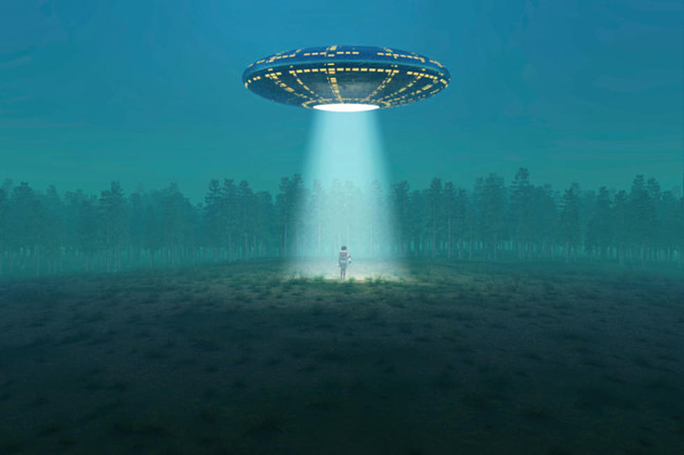 Trailcam Captures UFO Images? – [VIDEO]