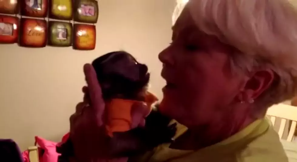 Baby Monkey sees Grandma! 