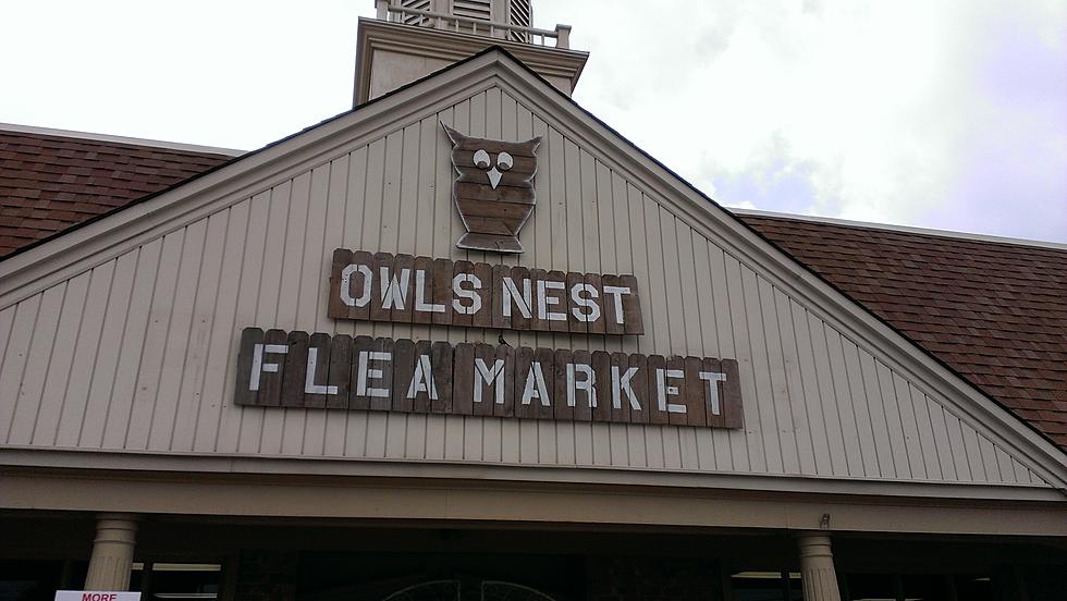 The Owls Nest Grand Opening Celebration May 10