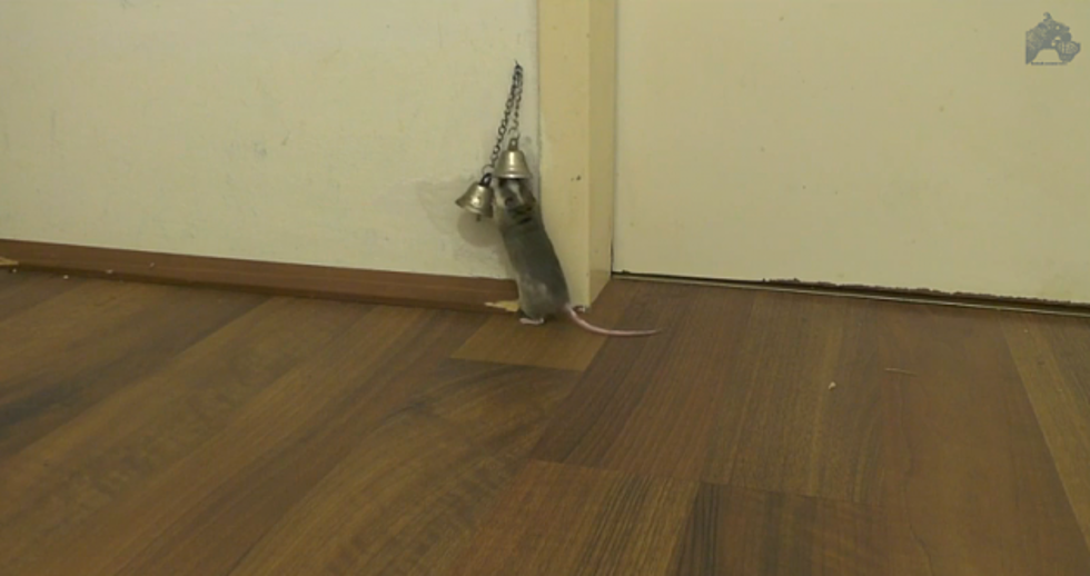 Aww! Cute Mouse Rings a Bell for a Door to Open [VIDEO]