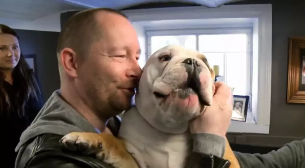 Man Decorates Kennel Like Home For His BullDog [VIDEO][POLL]
