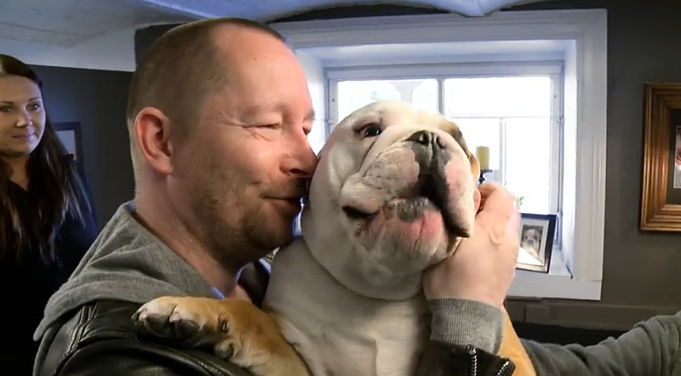 Man Decorates Kennel Like Home For His BullDog [VIDEO][POLL]