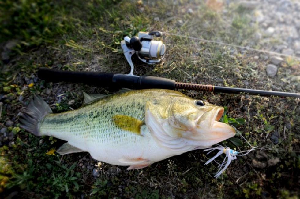 2015 Big Bass Fishing Tournament July 11 Moved to Lake Wright Patman