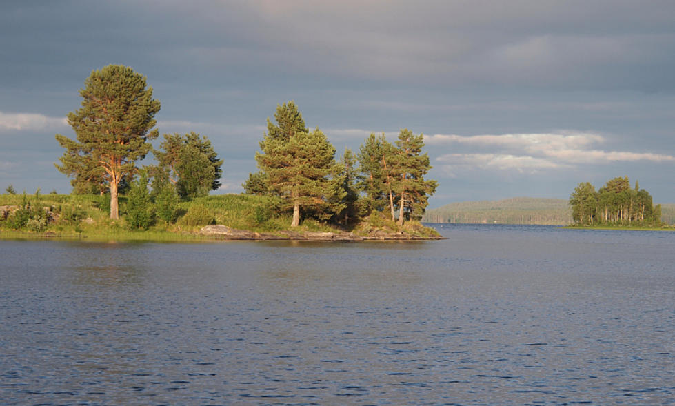 Daisy State Park Ready for Labor Day Celebration