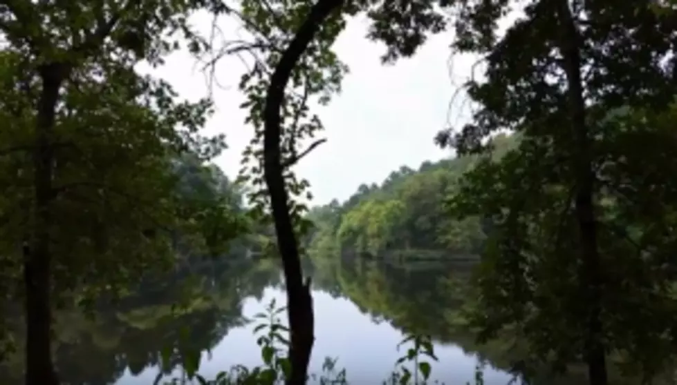 Jim Weaver Reviews Shady Lake, Arkansas