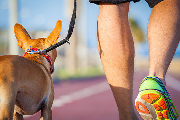 Six Leg Fun Run and 5K to Benefit the Texarkana Animal Care and Adoption Center