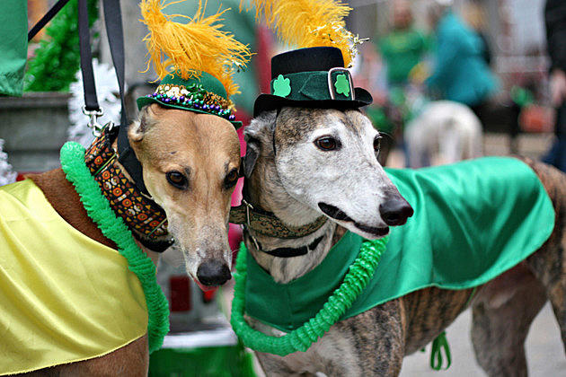 13th Annual World&#8217;s Shortest St. Patrick&#8217;s Day Parade