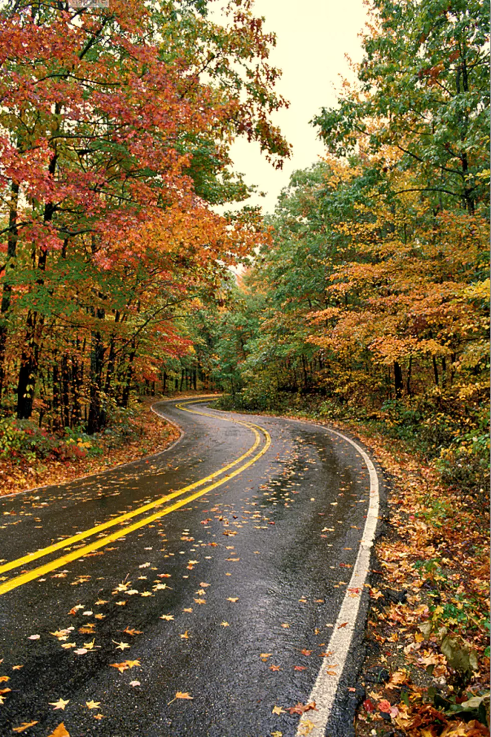 Best Drives in Arkansas for Fall Foliage This Year