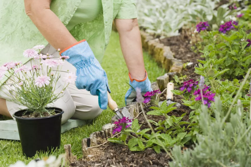 Bowie County Master Gardener Training Class Announced