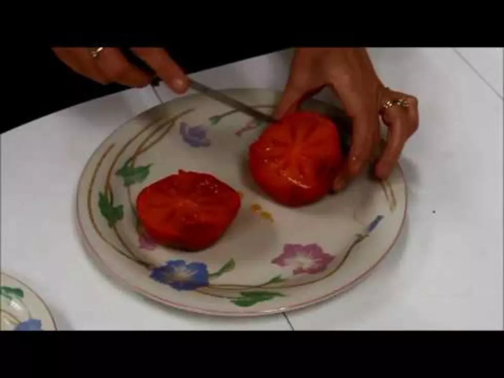 Predicting 2016 Winter Weather With a Persimmon [VIDEO FAIL]