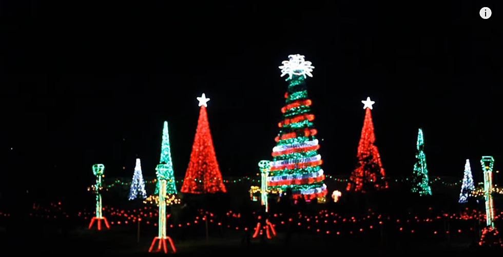 Holiday Lights at Garvan Woodland Gardens in Hot Springs, Ark.