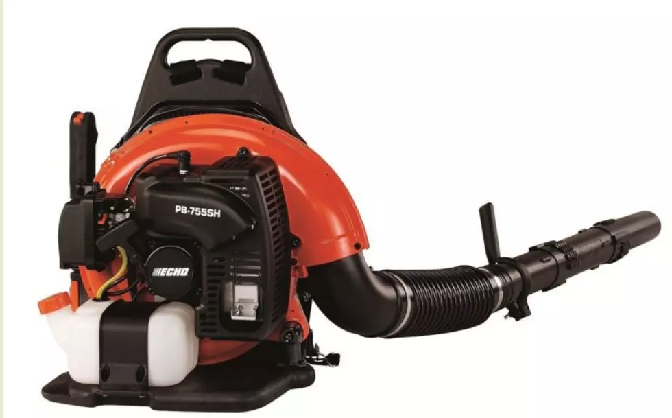 Seize The Deal Auction – Echo Backpack Blower