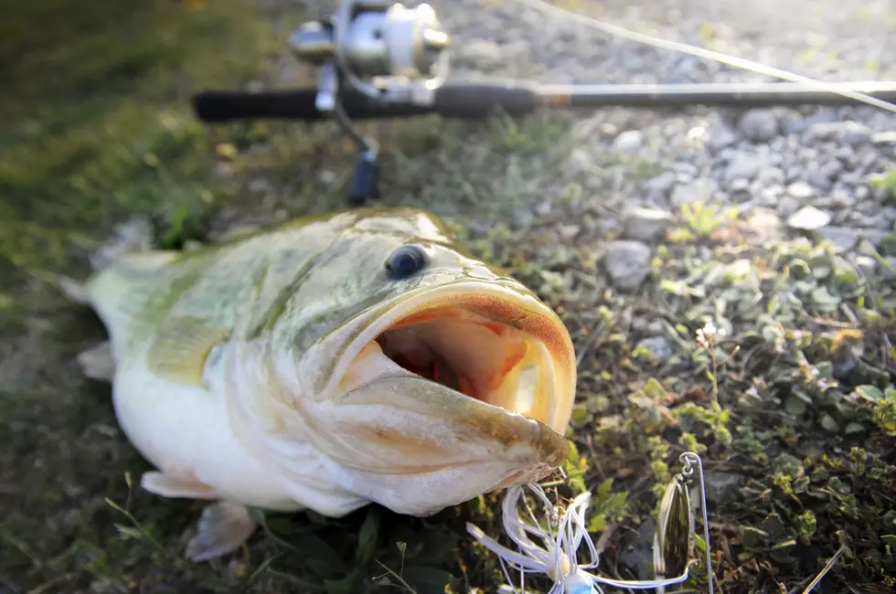 The Fifth Annual ‘Big Bass’ Fishing Tournament Is Saturday, April 13