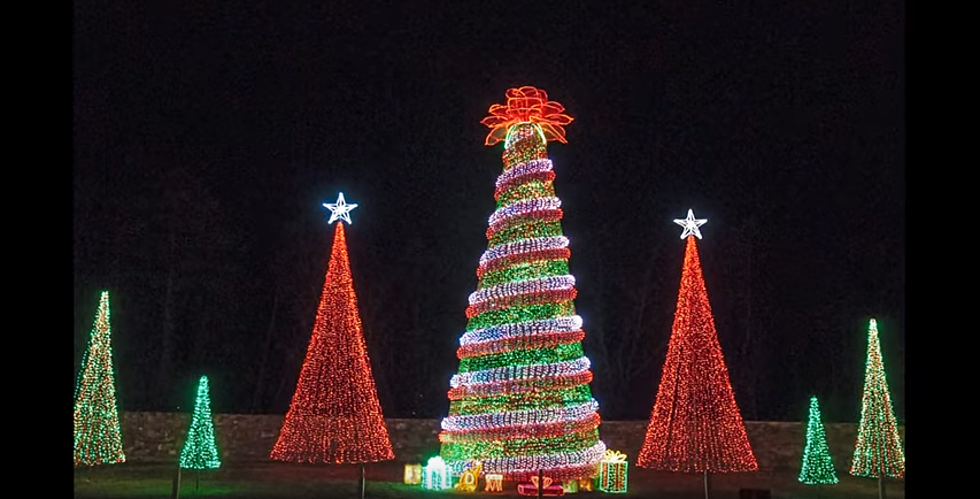 Holiday Lights At Garvan Woodland Gardens Is A Winter Wonderland
