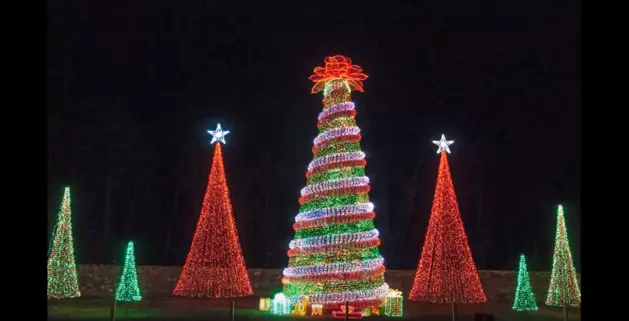 Holiday Lights at Garvan Woodland Gardens is a Winter Wonderland