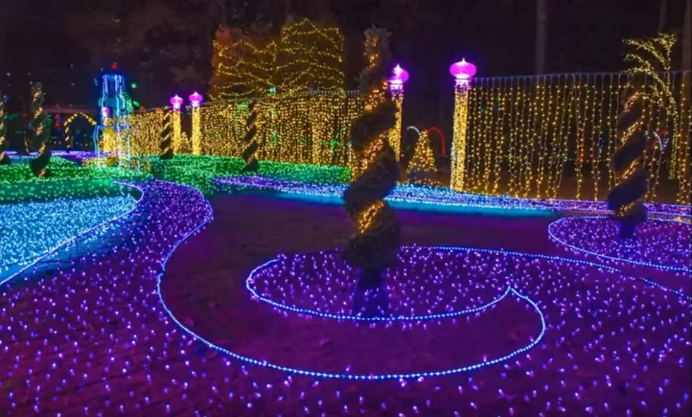 Holiday Lights at Garvan Woodland Gardens is a Winter Wonderland