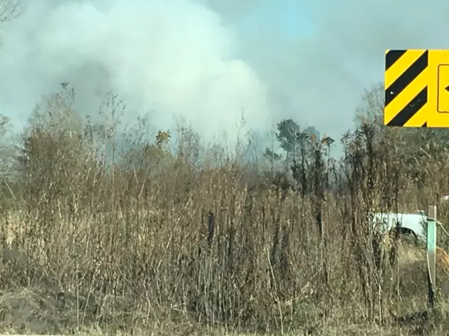 Brush Fire Erupts in Liberty-Eylau