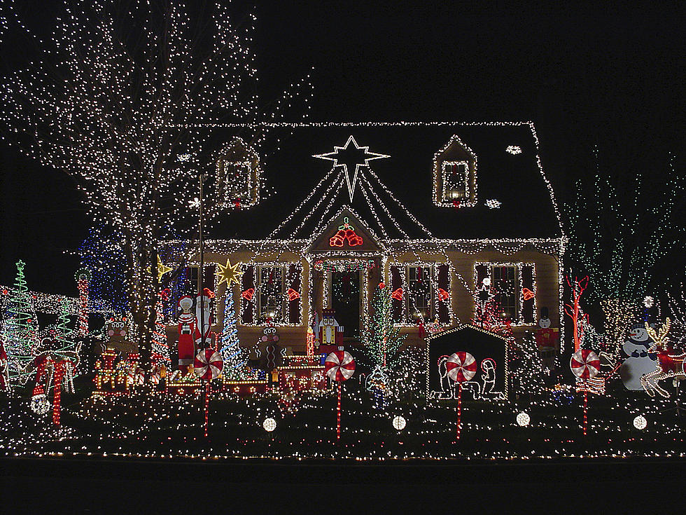 Clark Griswold-Inspired Christmas Display