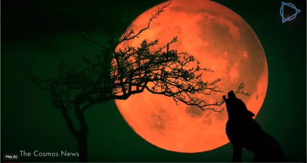 Watch First Total Lunar Eclipse of 2019 &#8220;Super Blood Wolf Moon&#8221; Jan. 20-21