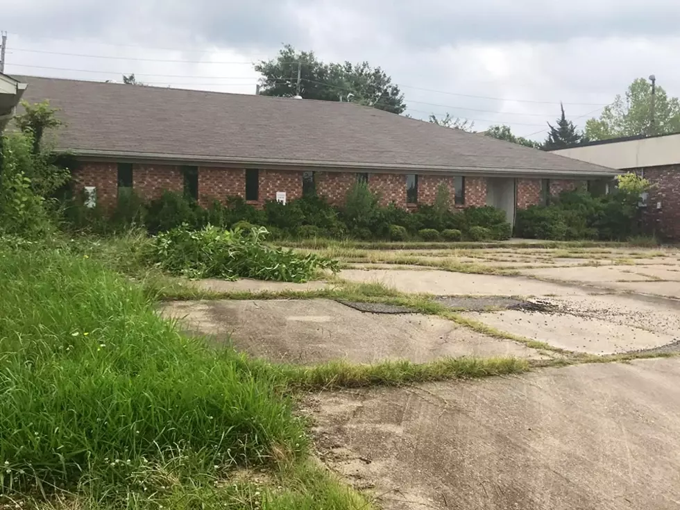 Local Non-Profit Needs Volunteer Help Cleaning Up Around Their New Building