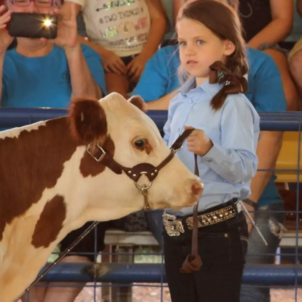 105th Annual Miller County Fair Is This Weekend in Fouke, AR