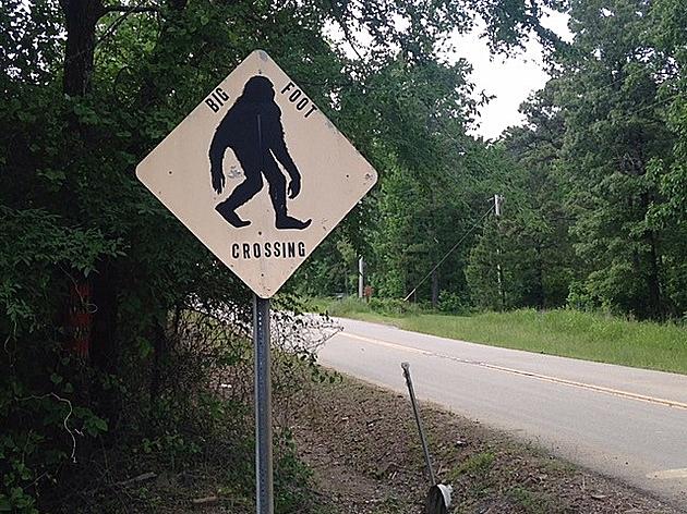 Bigfoot Halloween Campout in Arkansas Will be a Scary Hairy Good Time