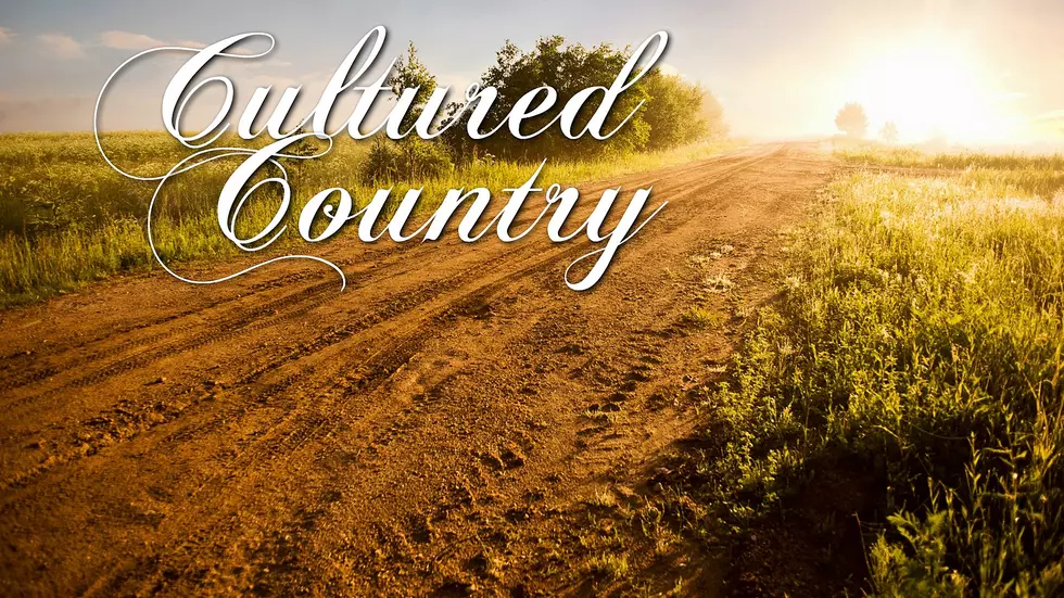 "Down To The Honky Tonk" - 'Cultured Country' With Jim & Lisa