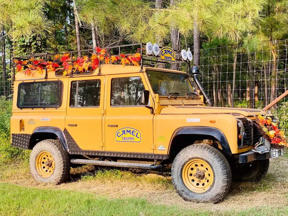 Pumpkin Patch at Lonesome Dove Drive-thru Safari