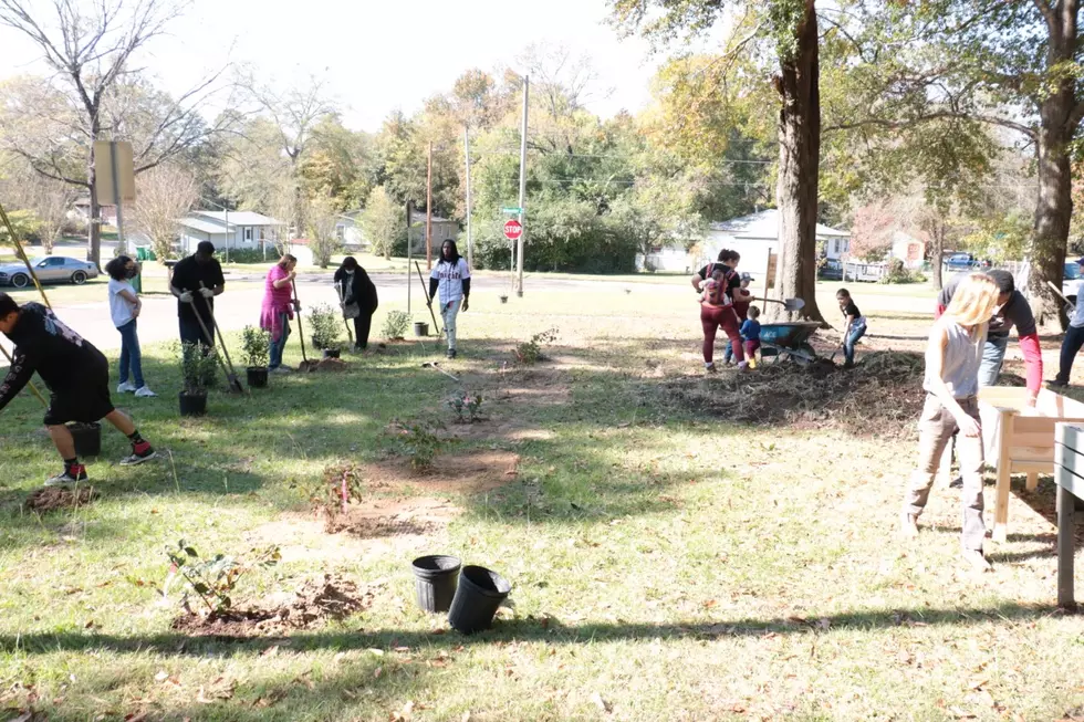 Texarkana Gets a New Community Garden + Upgrades on Another