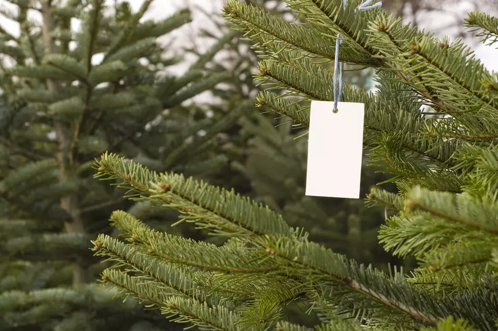 Take a Real Tree Home From Texarkana Christmas Trees