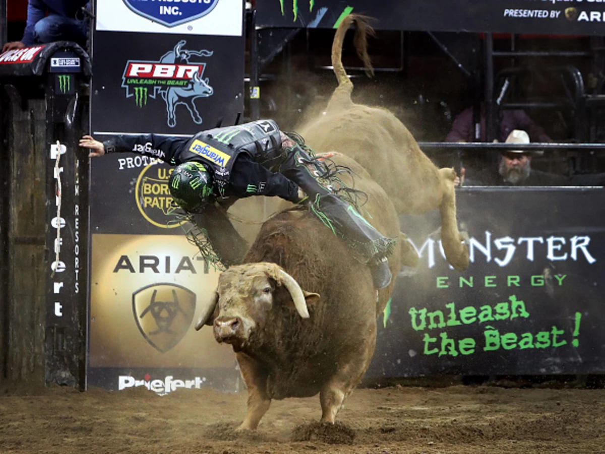 meanest bull in pbr history