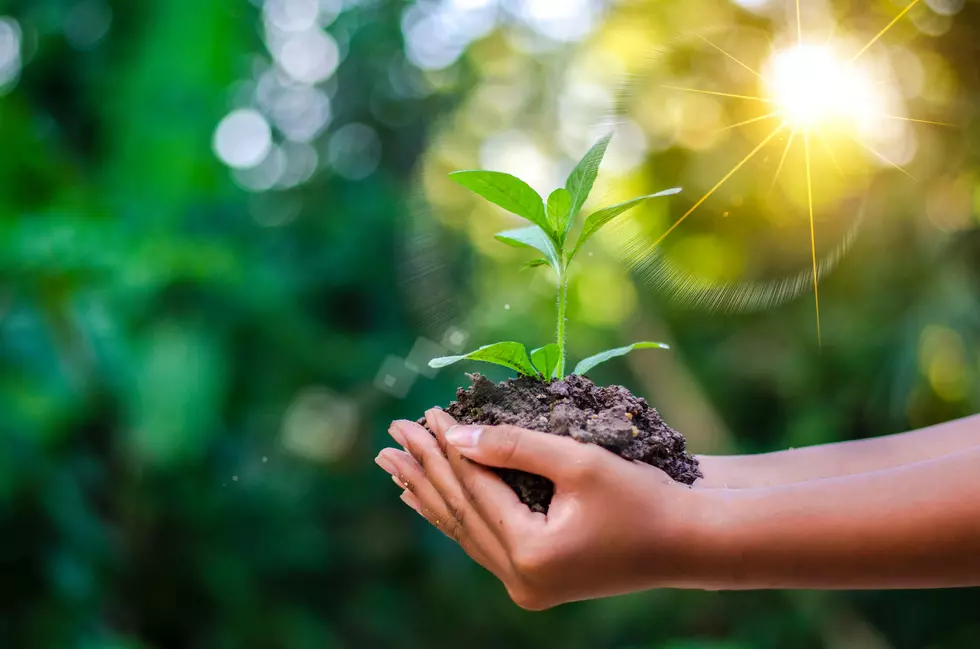 Texarkana’s 2021 Arbor Day Tree Giveaway Set For Saturday, March 6