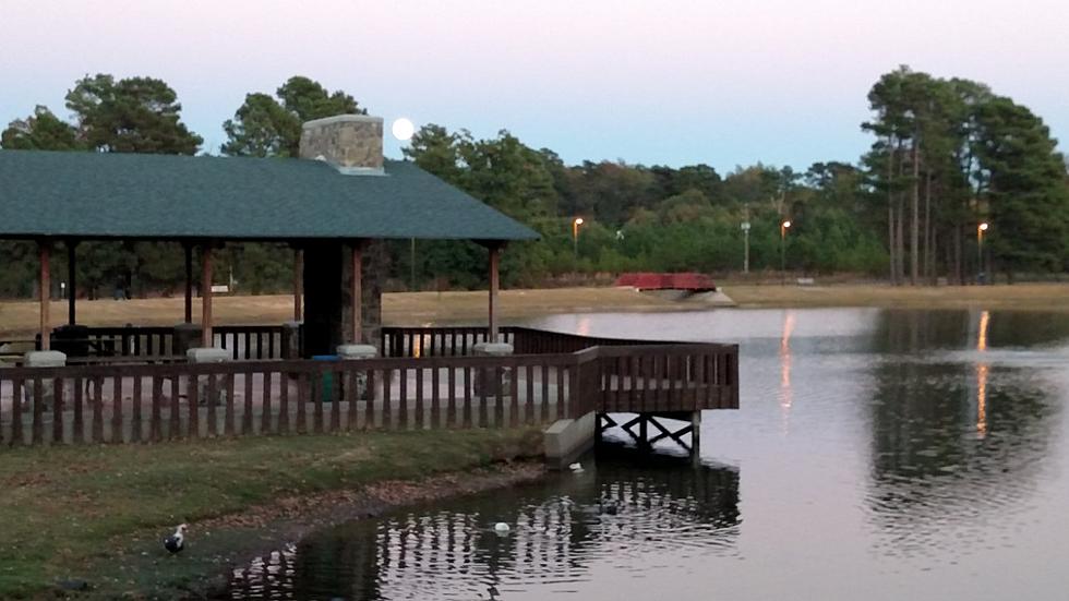 Dive Team to Conduct Dive Exercise at Bobby Ferguson Park