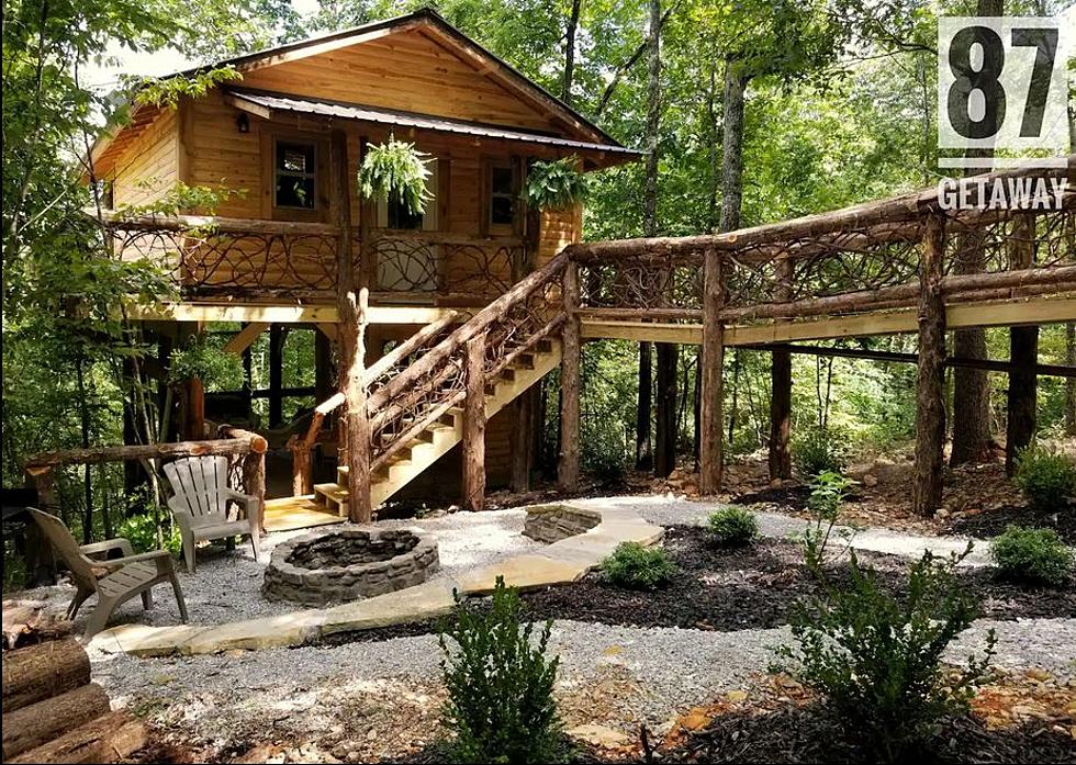 Tarzan Would Love This Treehouse Escape in the Ozark Mountains 