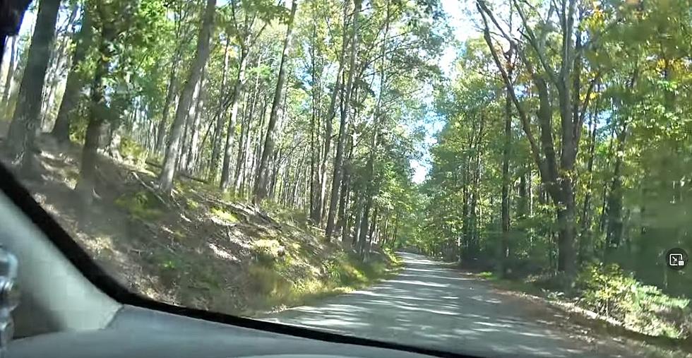 Your Car Will Do Strange Things on a Mystery Road in Hot Springs