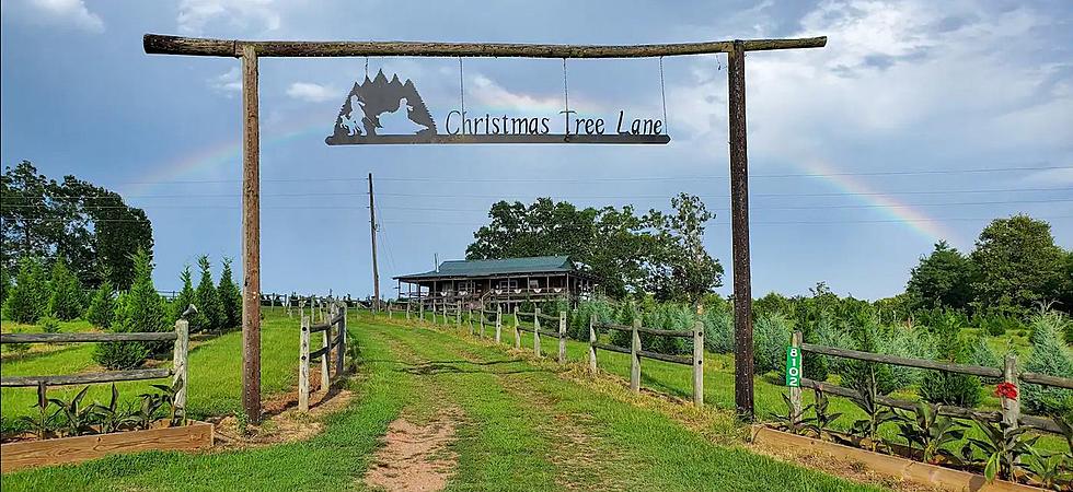 Christmas Cabin in Arkansas is Like a Hallmark Holiday Movie