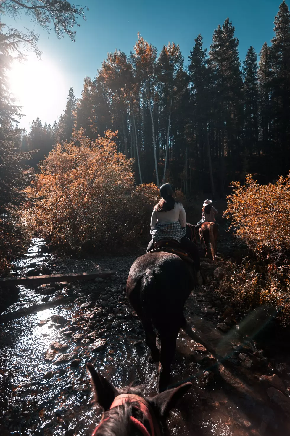 Colin Lloyd, Unsplash